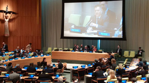 Представљање Јеремић у УН: Платформа са 53 обећања